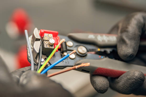 Best Electric Panel Repair  in Memphis, FL